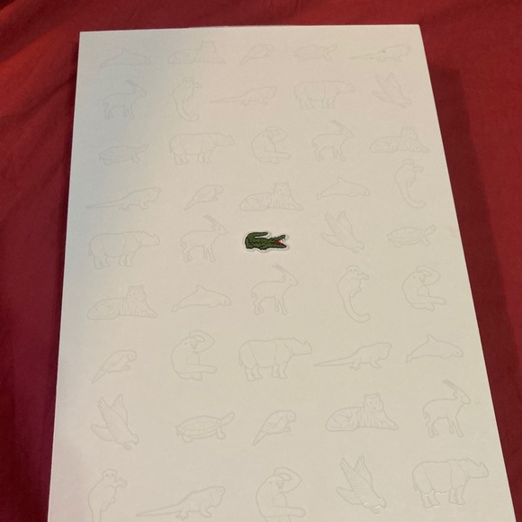 Rare lacoste Iguana save our species - Picture 10 of 10